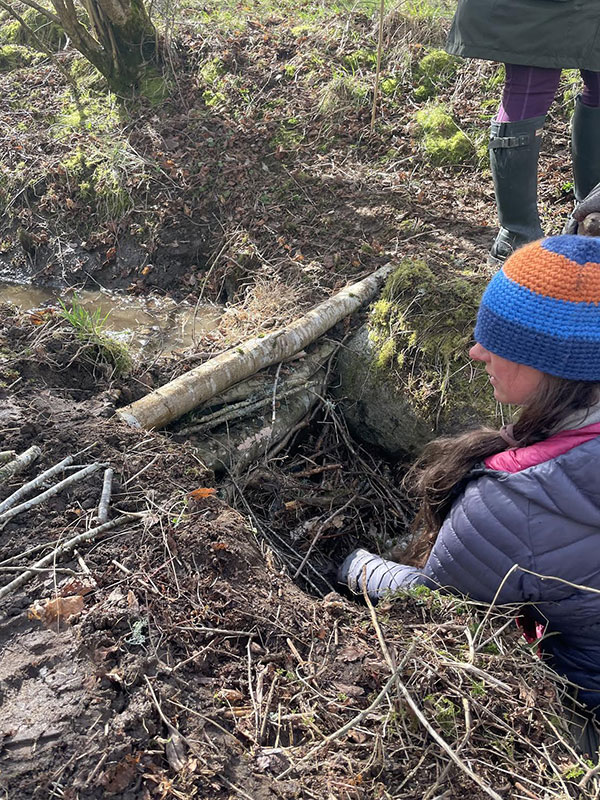 Leaky dams work by Muir to Forth team