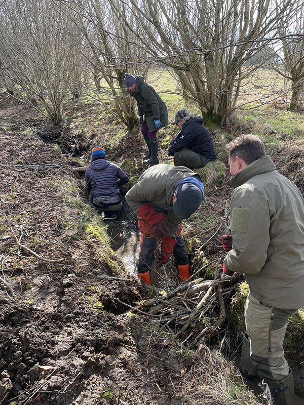 Leaky dams work by Muir to Forth team