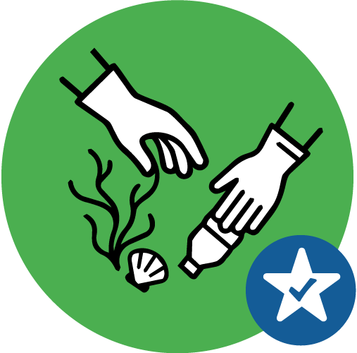 Bc guidelines icon