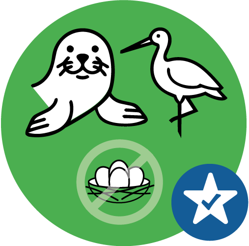 Bc guidelines icon