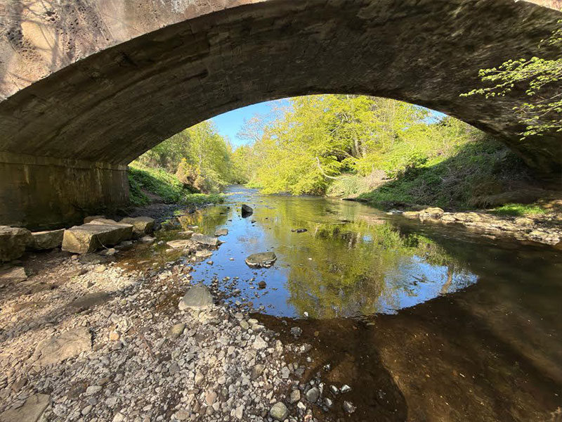 Critical role of rivers