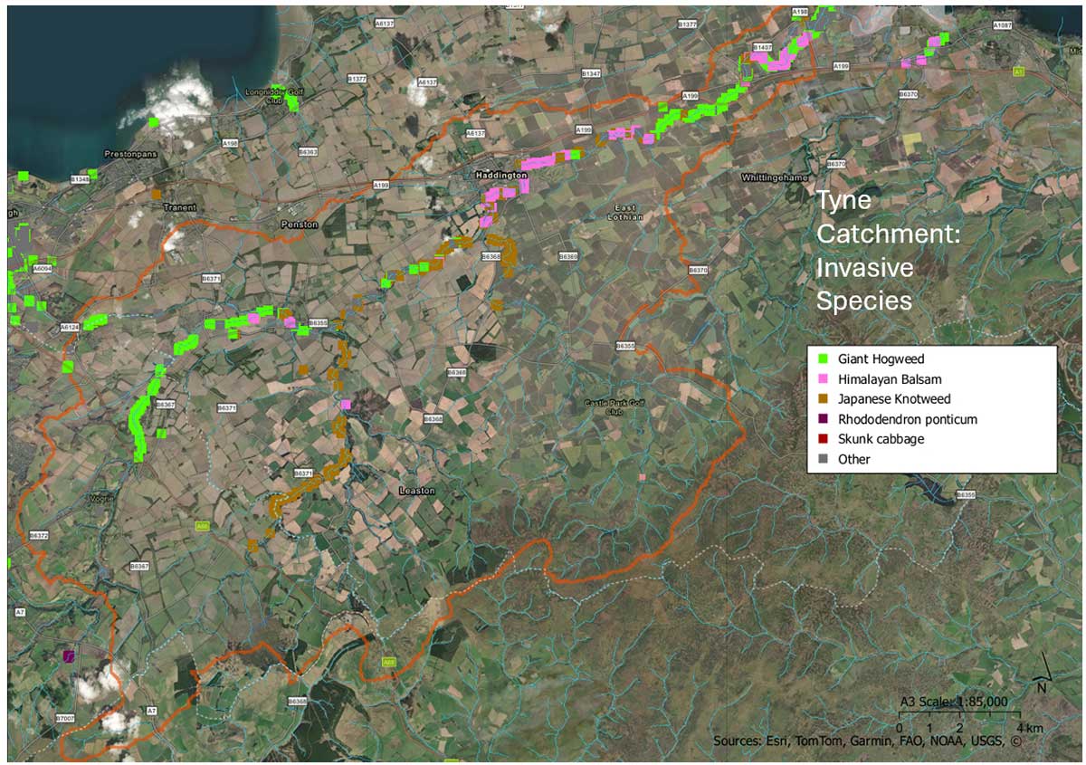 Tyne River - Invasive species map